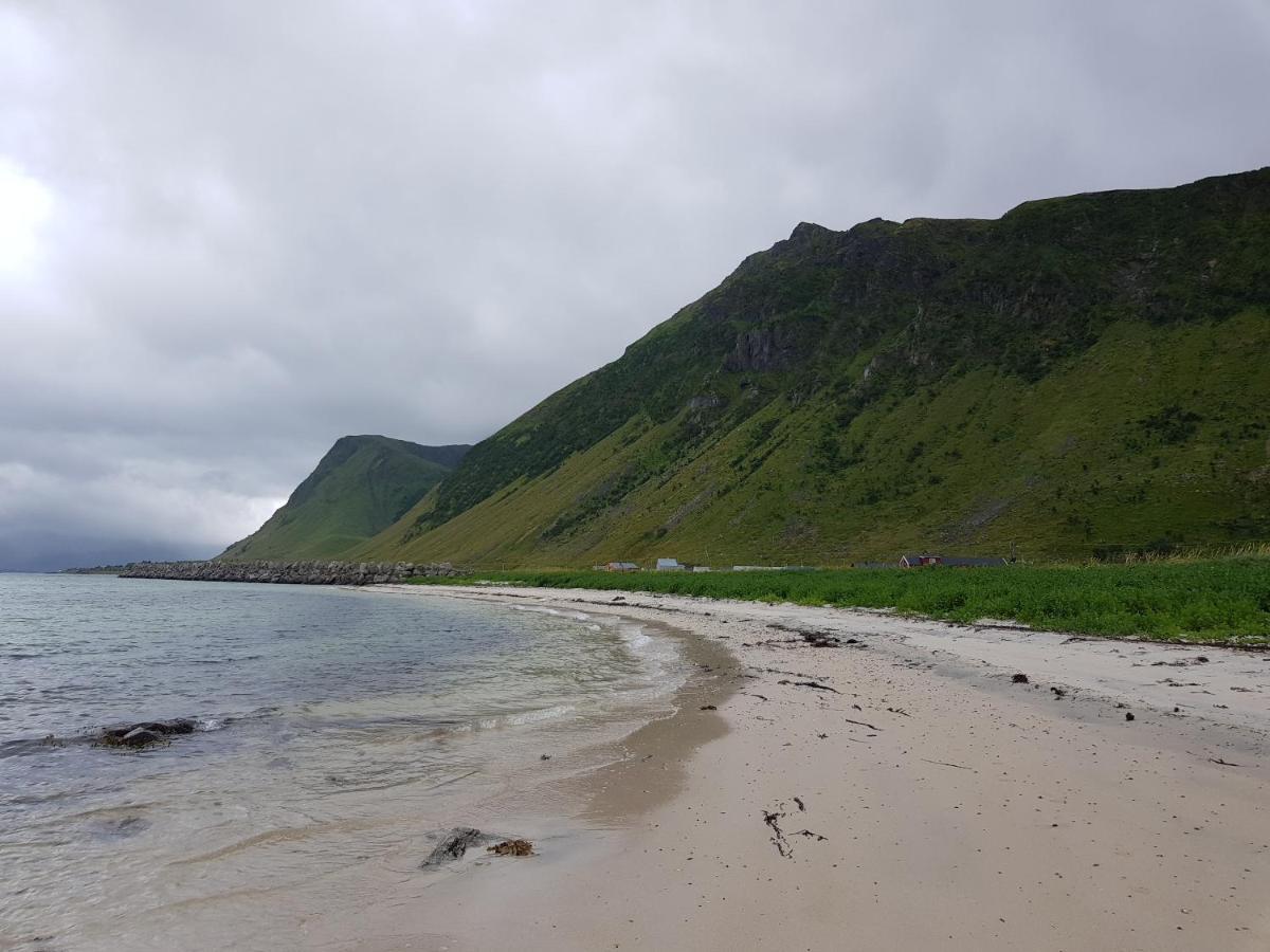 Villa Walter Lofoten With Sauna Kvalnes  エクステリア 写真