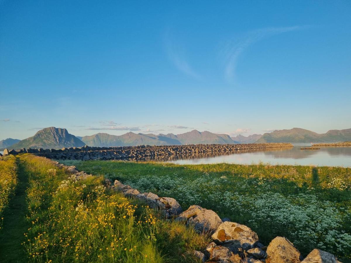 Villa Walter Lofoten With Sauna Kvalnes  エクステリア 写真