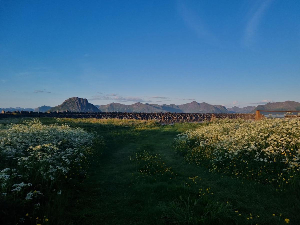 Villa Walter Lofoten With Sauna Kvalnes  エクステリア 写真
