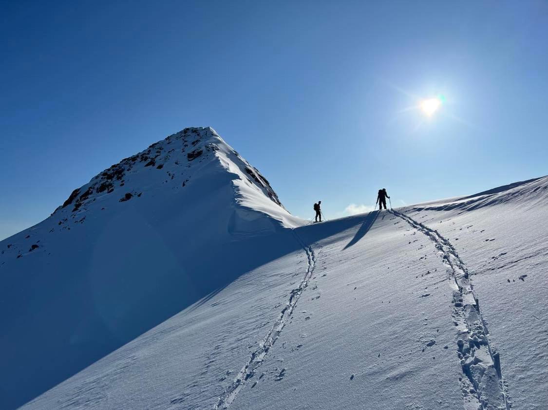 Villa Walter Lofoten With Sauna Kvalnes  エクステリア 写真