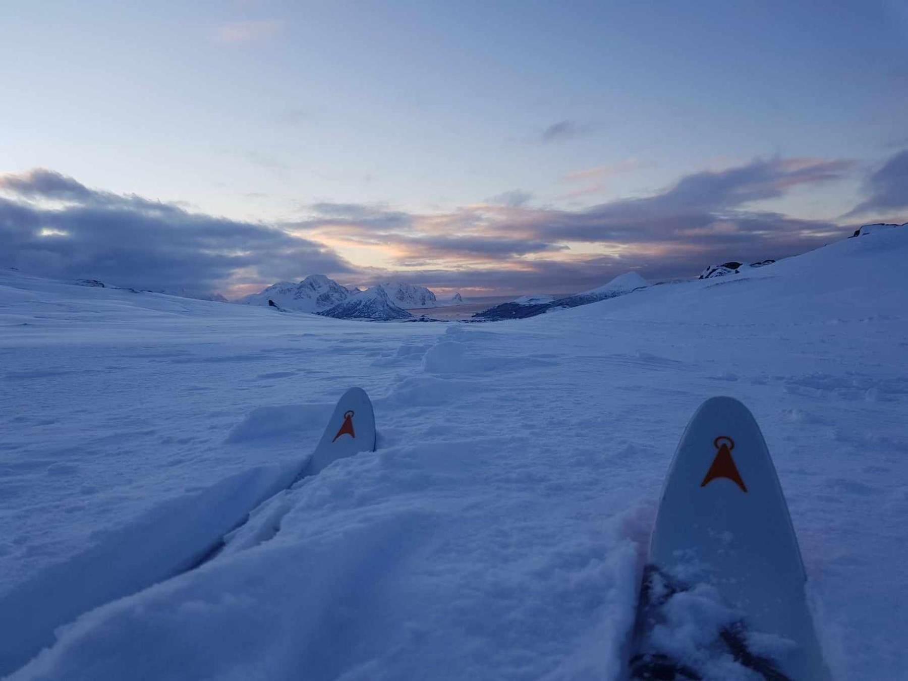 Villa Walter Lofoten With Sauna Kvalnes  エクステリア 写真