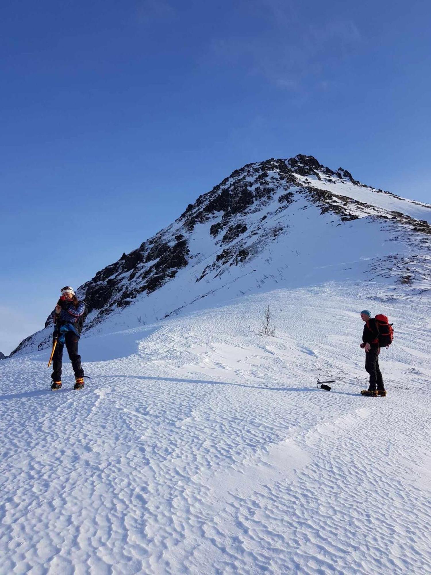 Villa Walter Lofoten With Sauna Kvalnes  エクステリア 写真